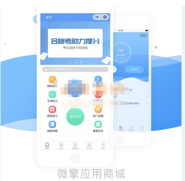 首发掌上题库V1.2.2源码-支持流量主小程序设置